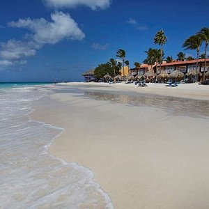 Tamarijn Aruba Beach from Ocean