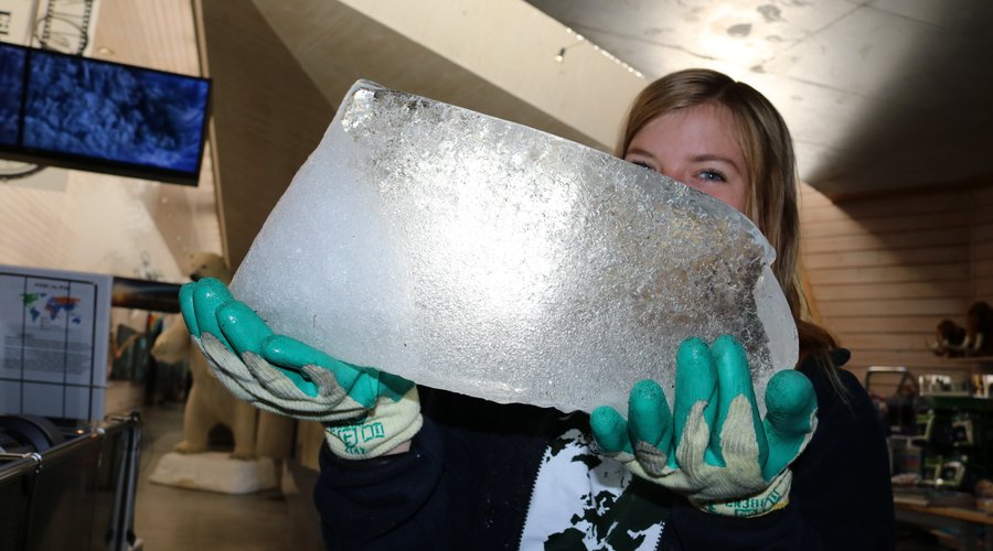 Real glacier ice in the exhibitions.