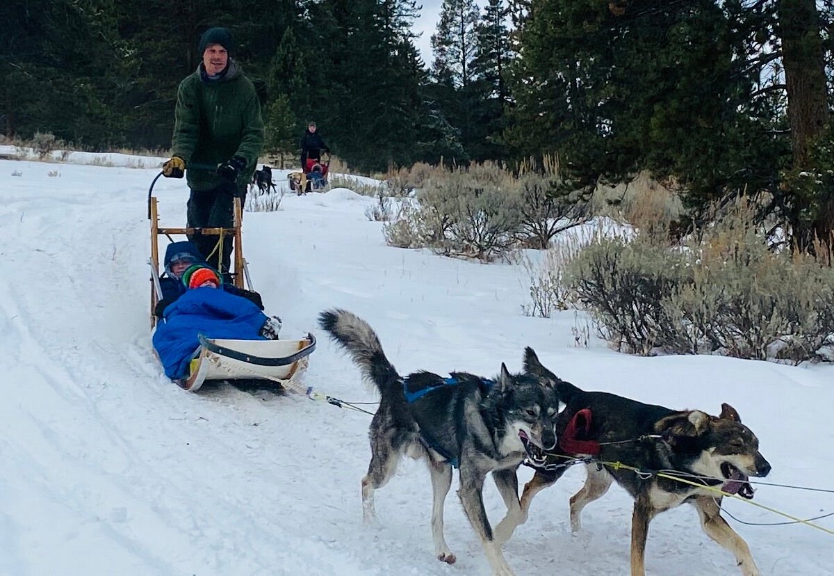 dog sled tours yellowstone