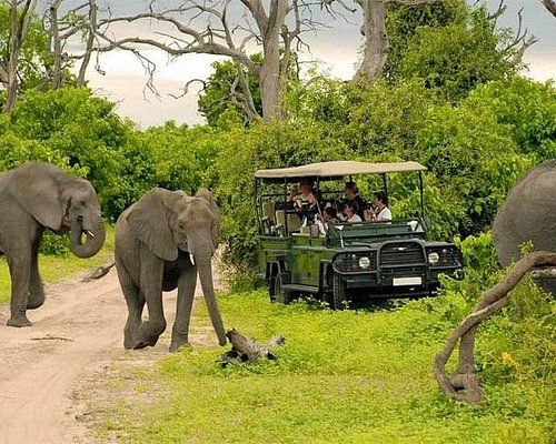 safaris en zambia