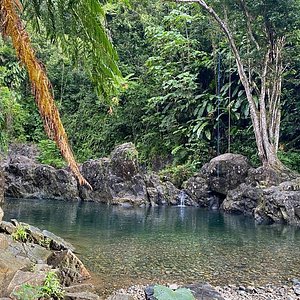 (Private) El Yunque tour - Transportation Included / 7am-12pm or 12pm-5pm