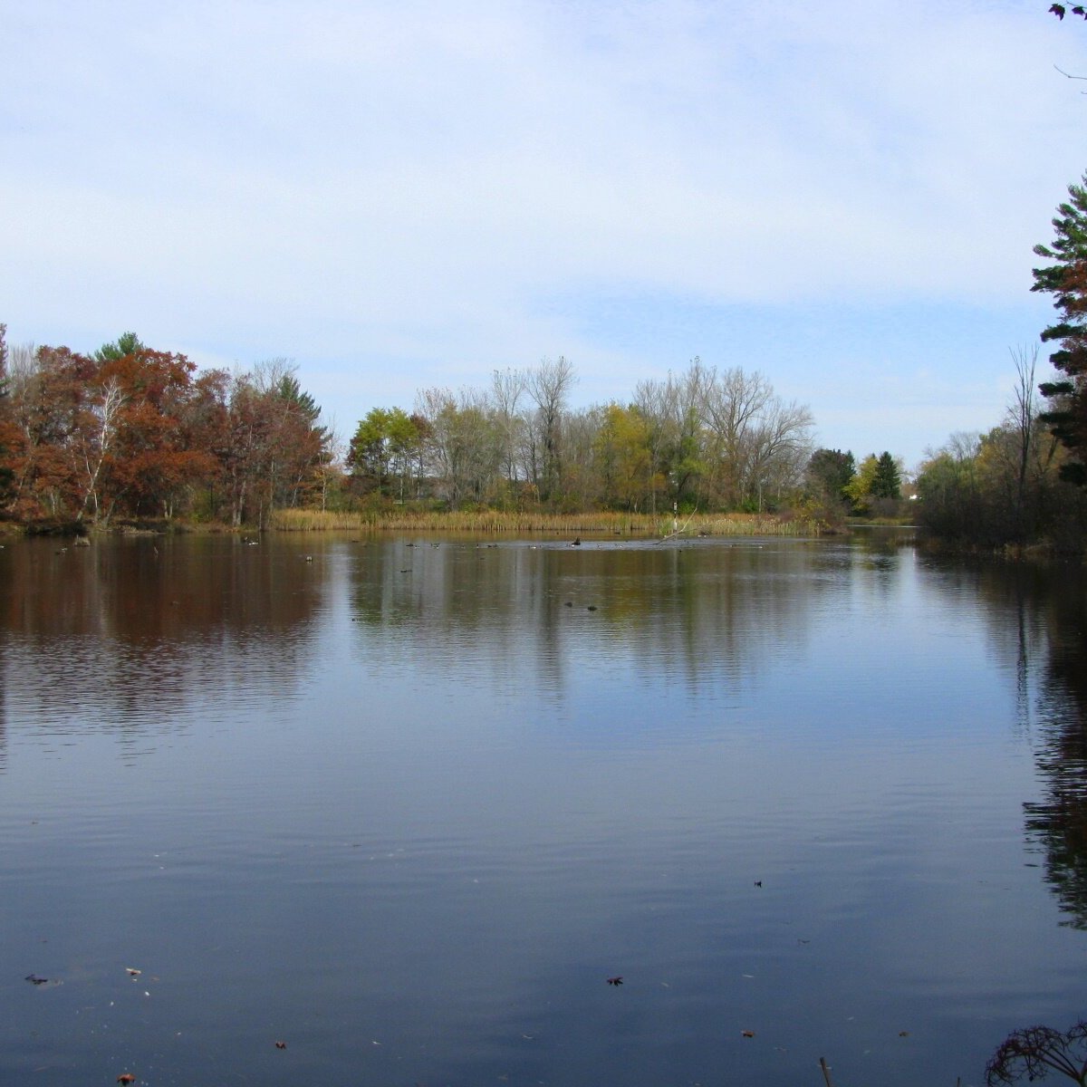 Upper Whiting Park (Stevens Point) - All You Need to Know BEFORE You Go