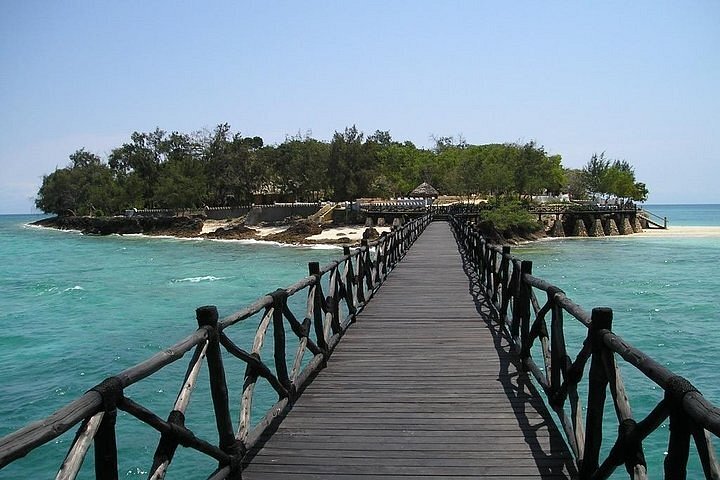 saving tour zanzibar