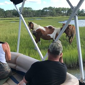 25+ Bike Rentals Chincoteague Island Va