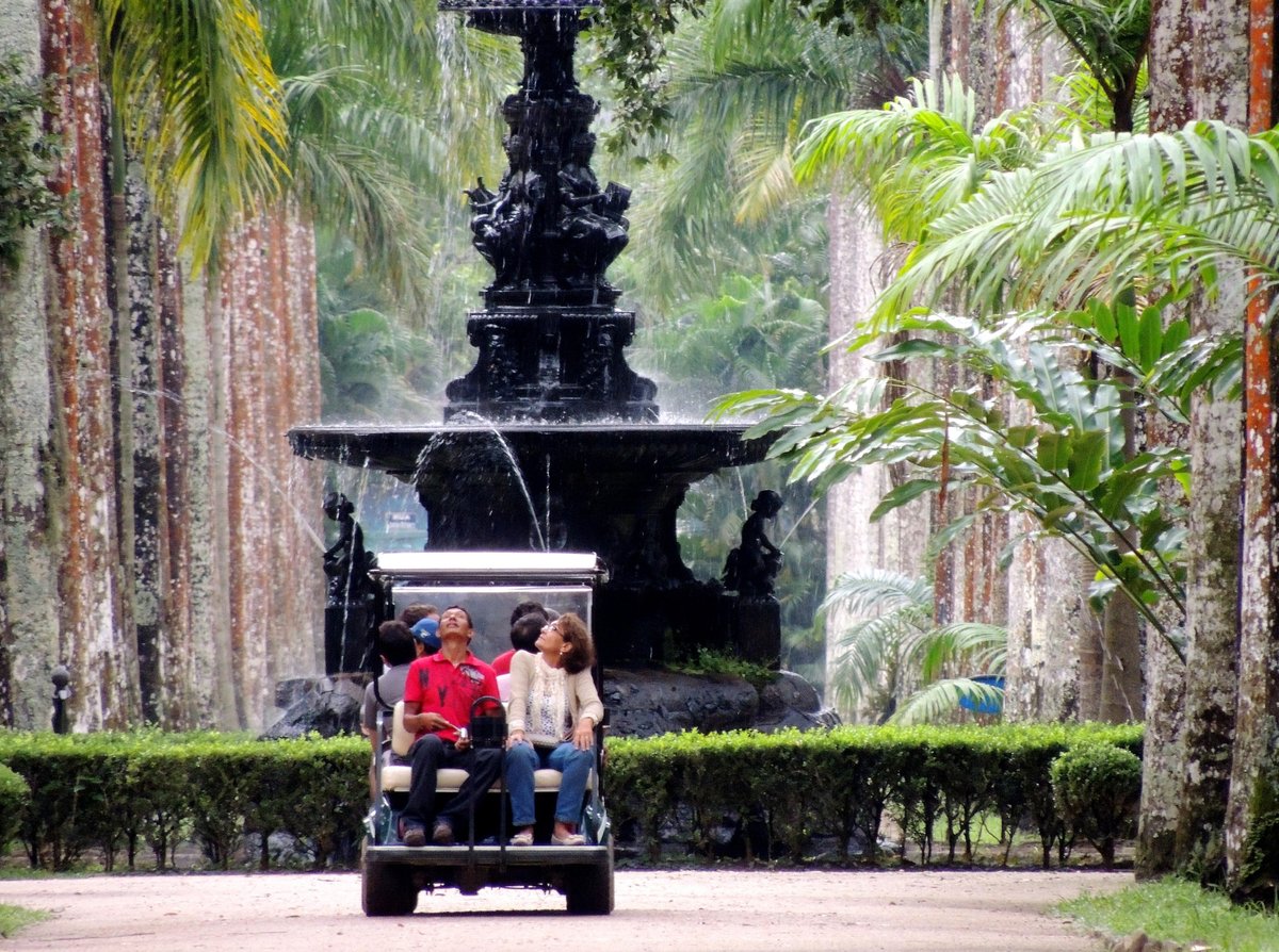 Botanical Garden, Рио-де-Жанейро: лучшие советы перед посещением -  Tripadvisor