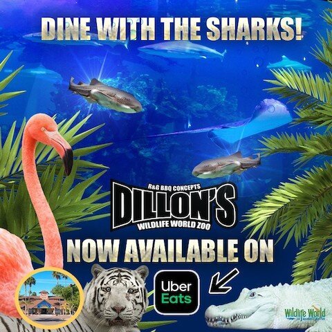 DILLON'S KC BBQ AT WILDLIFE WORLD ZOO, Litchfield Park - Menu, Prices ...