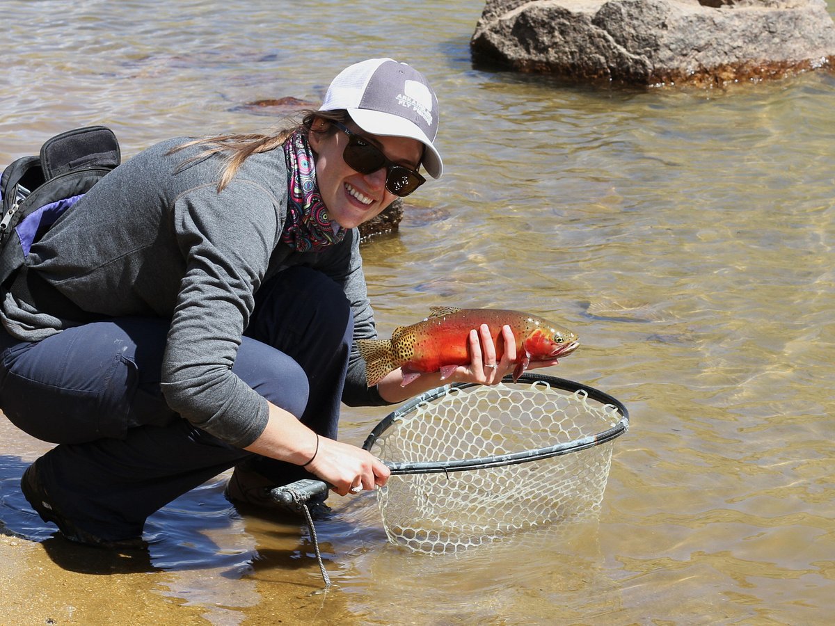 Flyfish Colorado - Guided Flyfishing in central Colorado with ArkAnglers