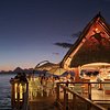 Things To Do in Api Dive Tahiti, Restaurants in Api Dive Tahiti