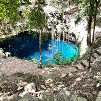 Cenote Lol-Ha (Yaxuna) - All You Need to Know BEFORE You Go