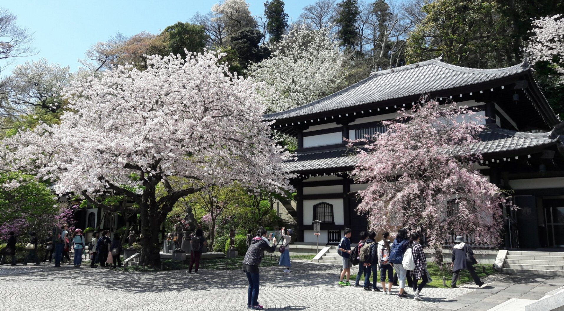 喫茶つぼみ (京都市) の口コミ - トリップアドバイザー