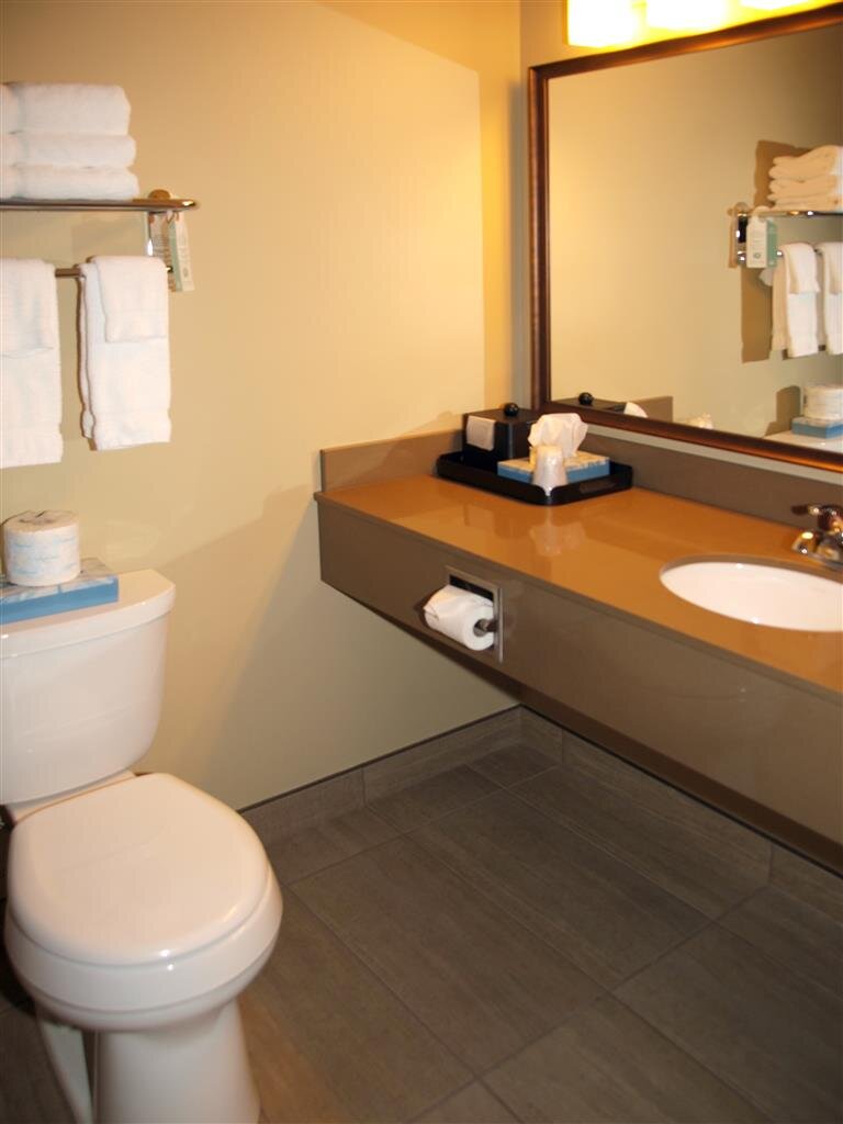 Hotel photo 18 of Best Western Plus Winnipeg West.