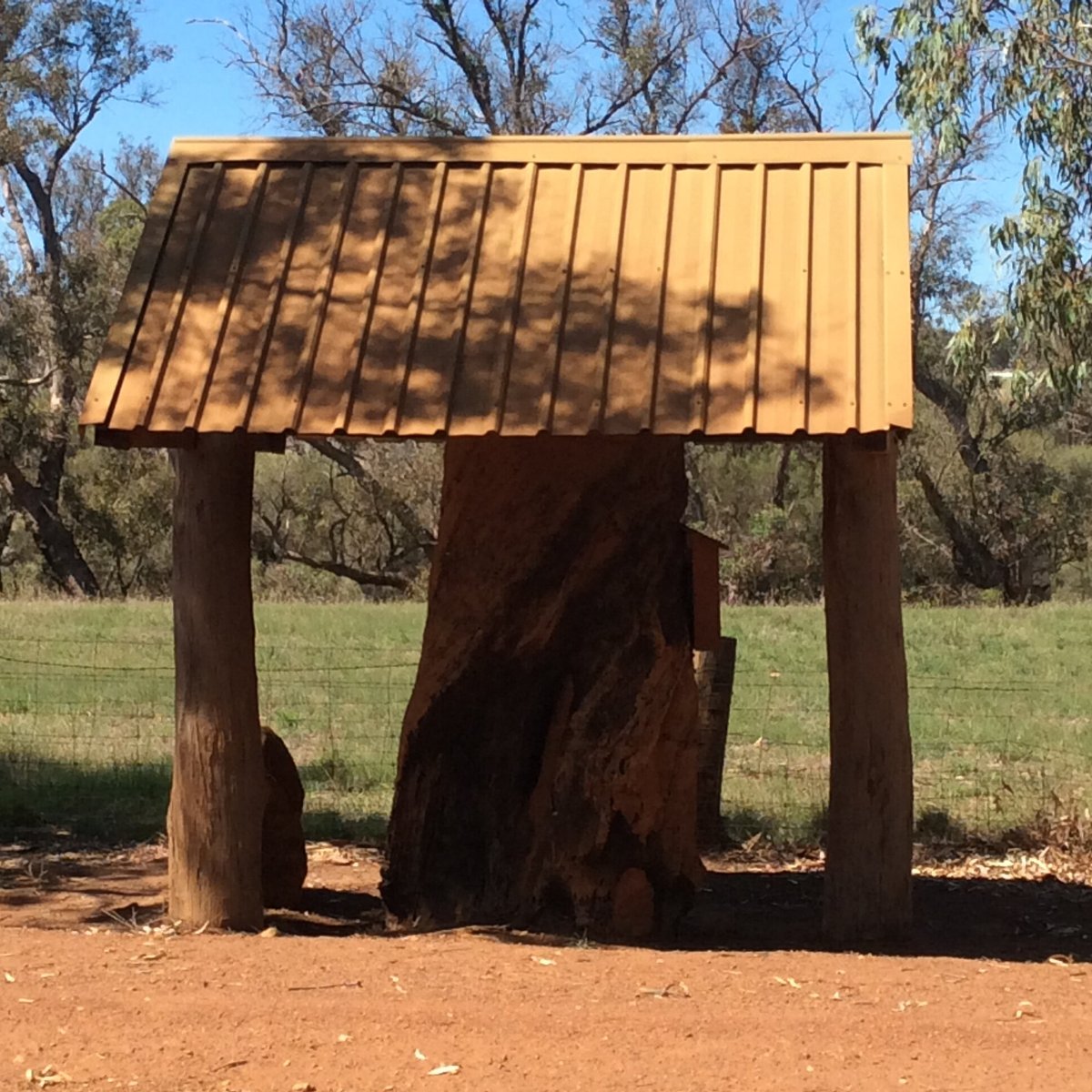 The Gregory Tree (Boyup Brook) - All You Need to Know BEFORE You Go