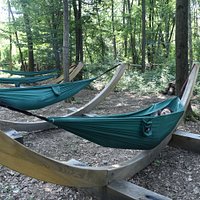 Comode ed avvolgenti amache per un relax completo a contatto con la natura e per guardare il bosco da un altra prospettiva.