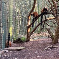 Nashville Zoo - All You Need to Know BEFORE You Go (with Photos)