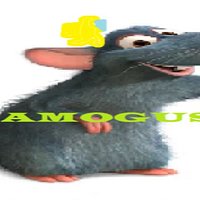 amogus!!!!