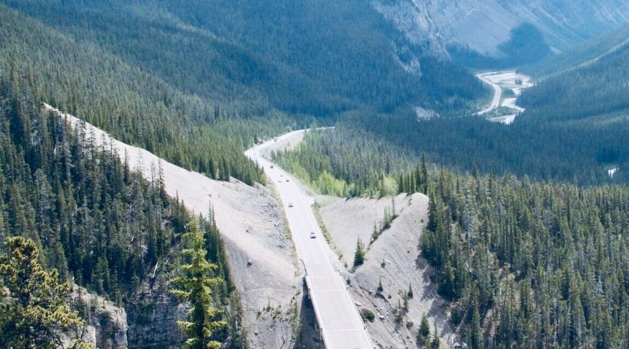Sharing a pic clicked by me from one of the elevated viewpoints of the Icefields Parkway. Icefields Parkway is that part of Alberta 93 highway located north of Trans-Canada highway extending from Lake Louise to Jasper. This roadway through picturesque mountains is known for its striking lookout spots & access to trails.