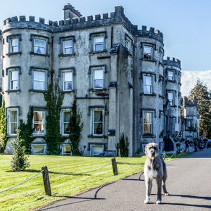Ballyseede Castle, Co Kerry. 
On the Route of the Wild Atlantic Way and the famous Ring of Kerry. 