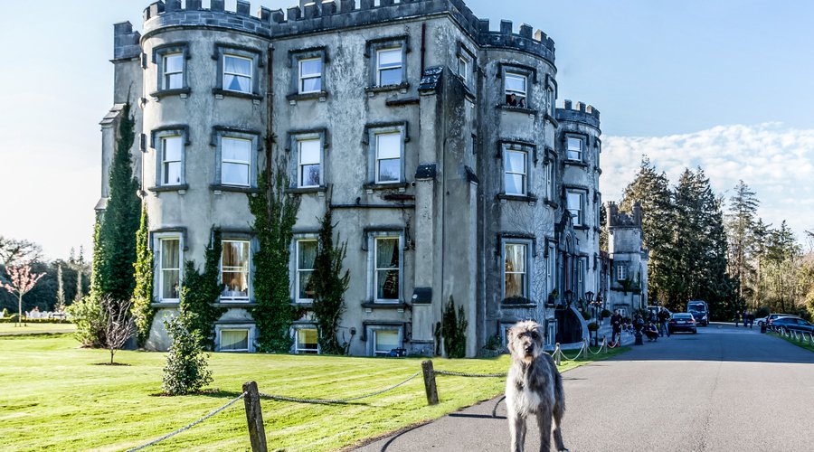 Ballyseede Castle, Co Kerry. 
On the Route of the Wild Atlantic Way and the famous Ring of Kerry. 