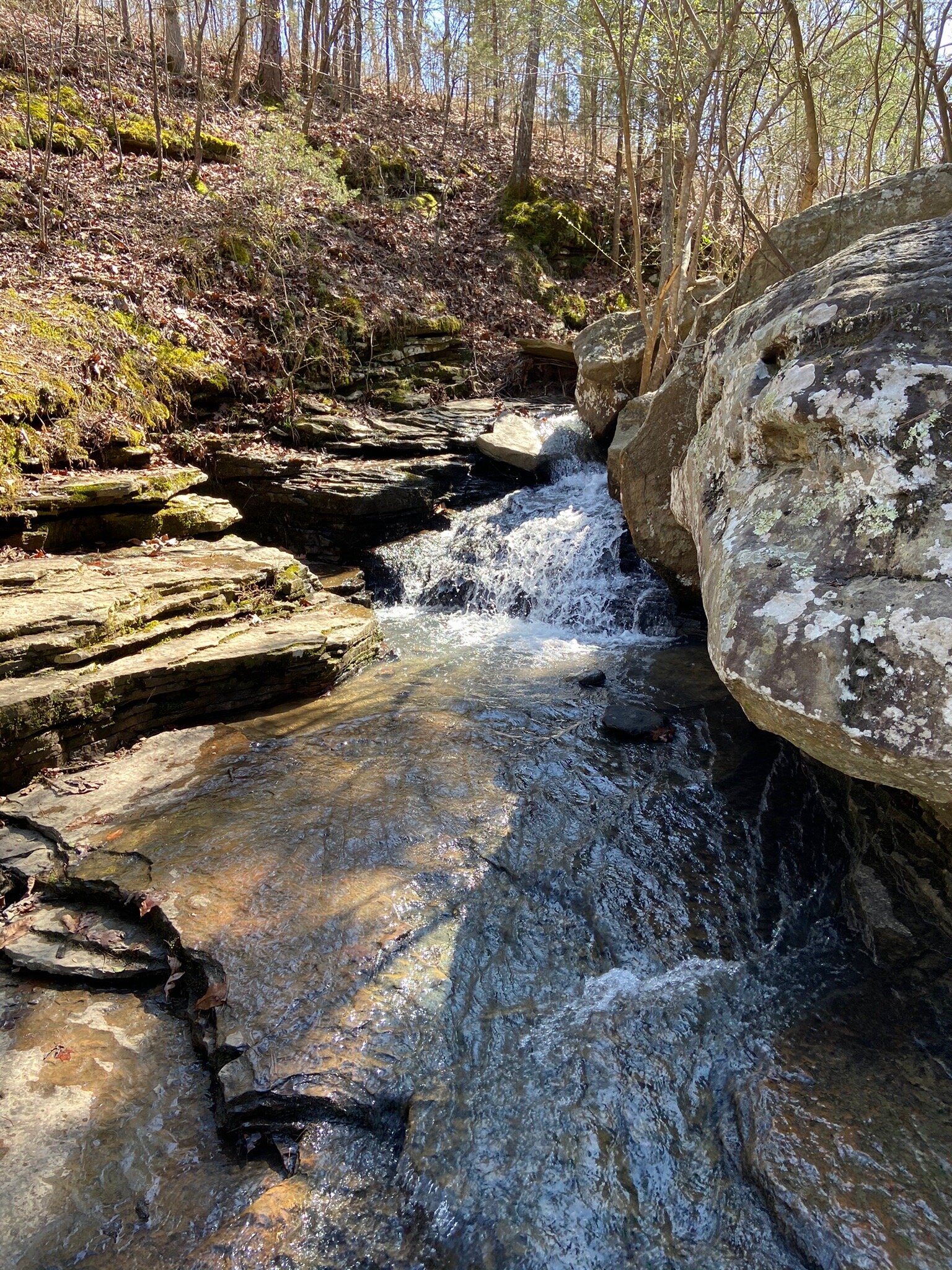 BRIDAL VEIL FALLS Heber Springs 2022 Qu Saber Antes De Ir Lo M S   Photo1jpg 