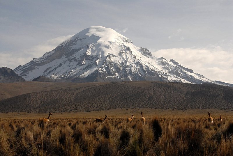 Nevado Sajama