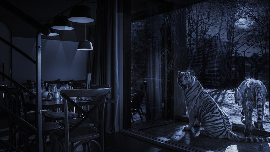 © Stéphane Adam