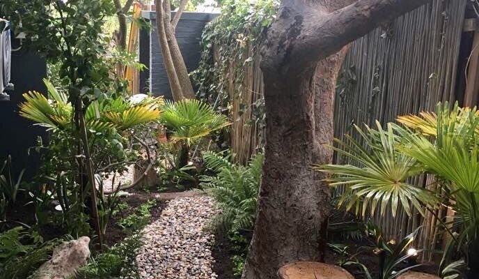 Lovely little entrance garden