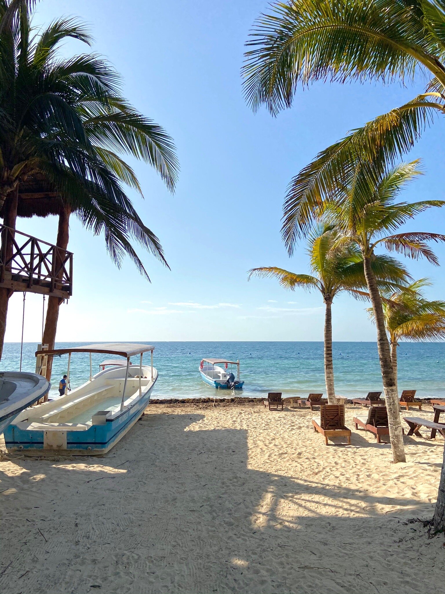 Parque Nacional Arrecife Puerto Morelos 2022 Qu Saber Antes De Ir   Loved This Experience 