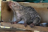 Exotic Animal Experience (Orlando) - All You Need to Know BEFORE You Go Exotic Animal Experience (Orlando) - All You Need to Know BEFORE You Go