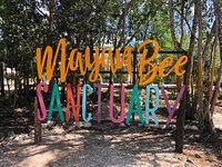 Mayan Bee Sanctuary (San Miguel de Cozumel) - All You Need to Know BEFORE  You Go