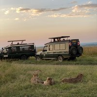 Julius Tact Safaris (nairobi) - All You Need To Know Before You Go