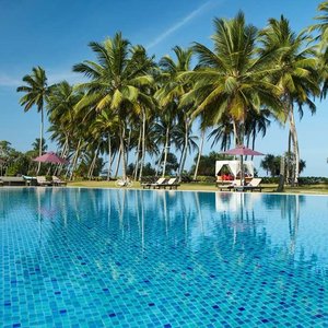 Palm trees over the lobby pool