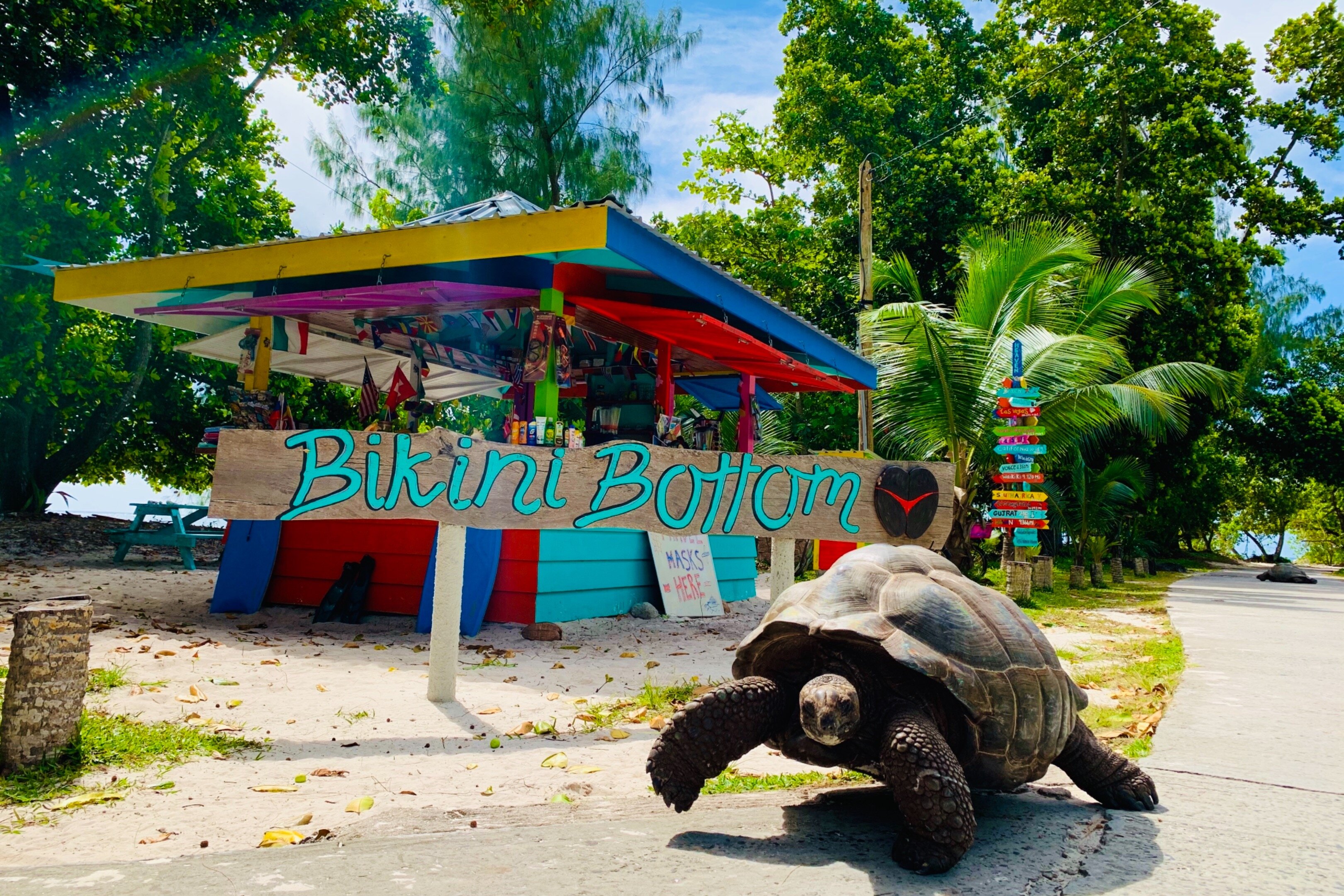 Bikini Bottom, Остров Ла-Диг: лучшие советы перед посещением - Tripadvisor