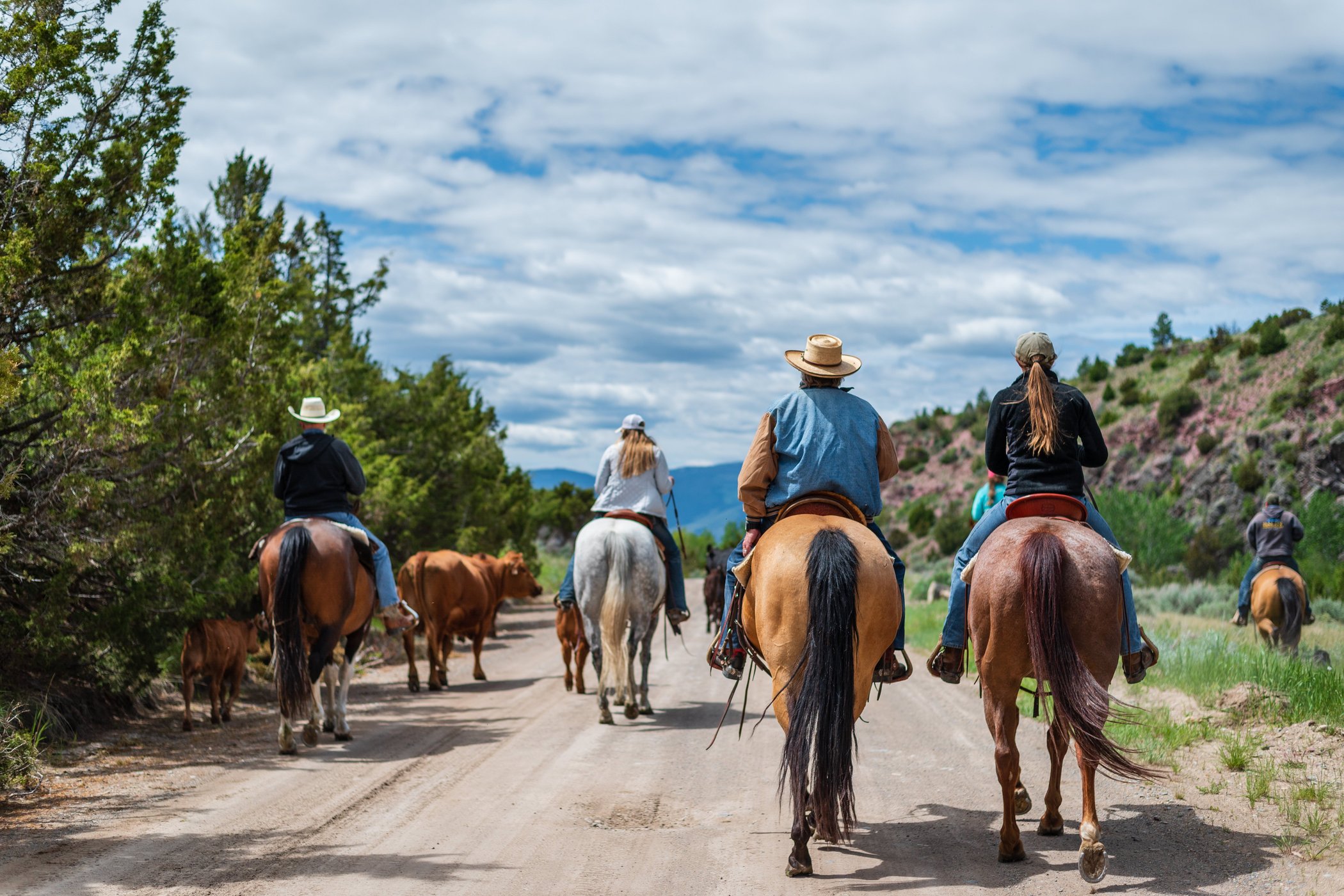 Hidden Hollow Hideaway Cattle & Guest Ranch by null