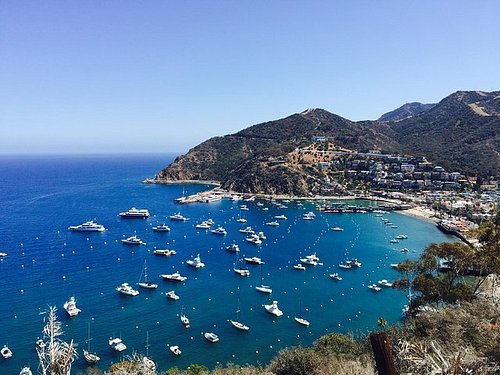 catalina island guided tour