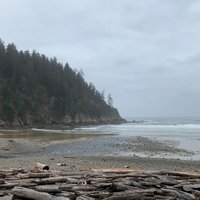 Oswald West State Park (Cannon Beach) - All You Need to Know BEFORE You Go