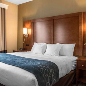 Comfort Suites Scranton near Montage Mountain in Scranton, image may contain: Interior Design, Cushion, Home Decor, Furniture