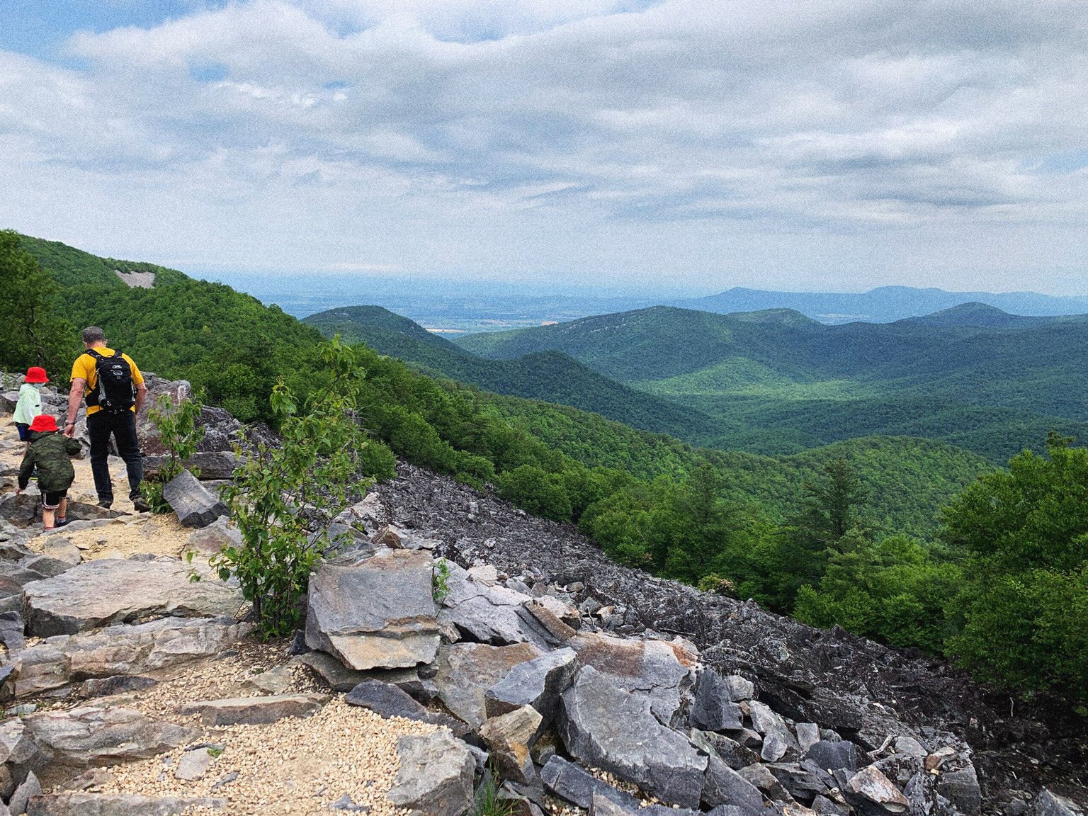 Shenandoah backpacking trips cheap