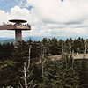 Things To Do in Clingmans Dome, Restaurants in Clingmans Dome