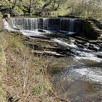 YARROW VALLEY COUNTRY PARK (Chorley) - All You Need to Know BEFORE You Go