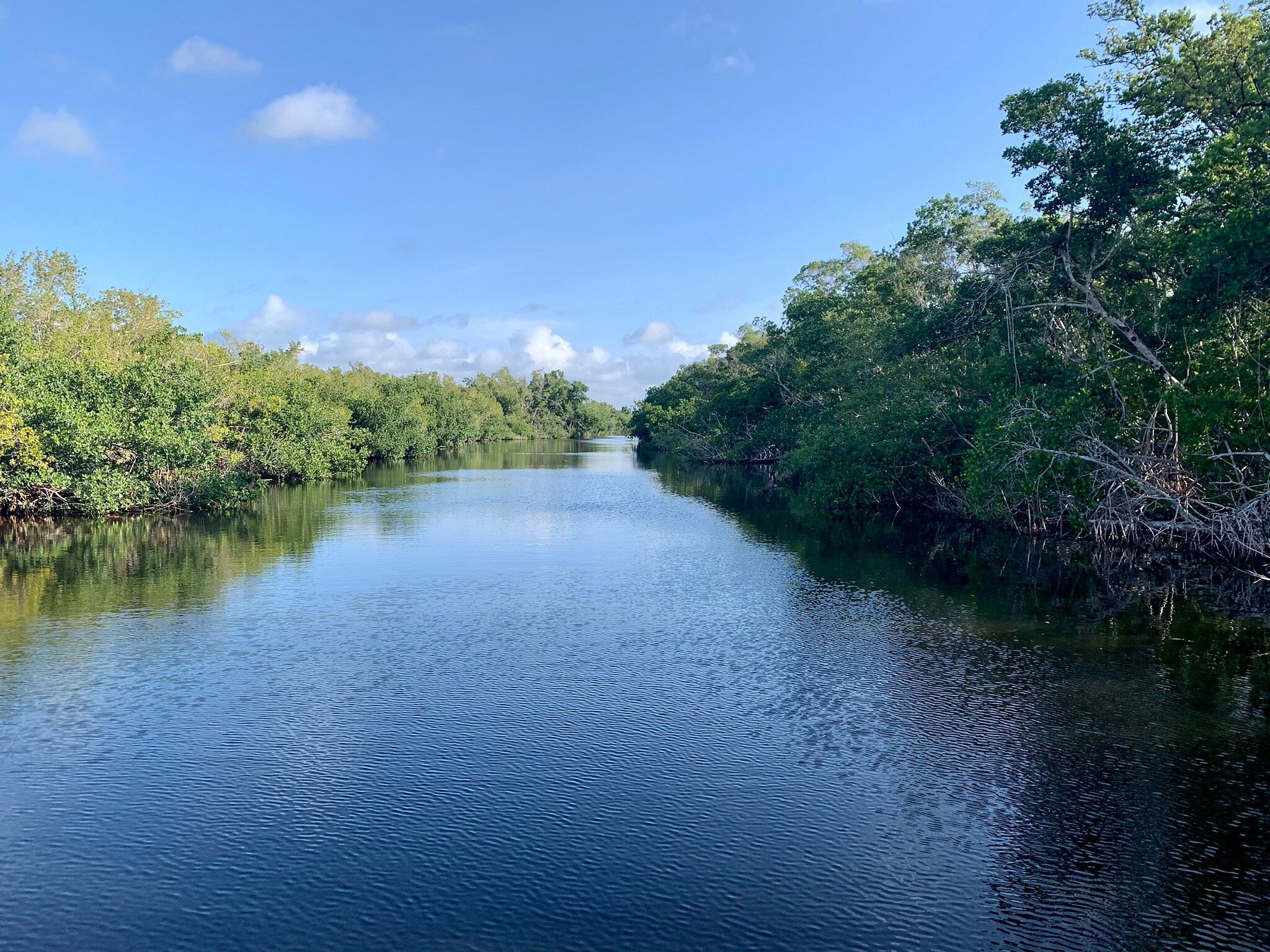 everglades boat tours flamingo