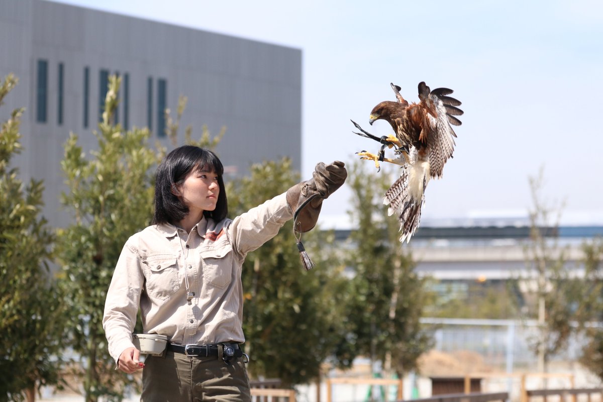 Kobe Animal Kingdom - All You Need to Know BEFORE You Go