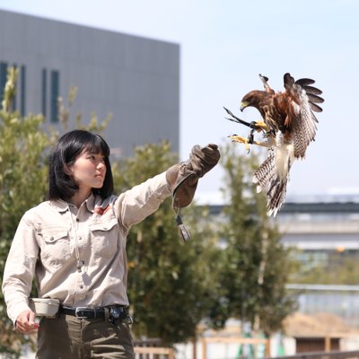 神戸市で雨の日に楽しめるイチ押しの屋内観光スポット10 選 トリップアドバイザー