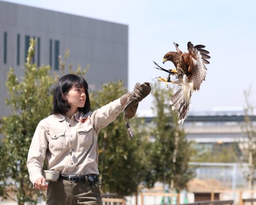 神戸市で雨の日に楽しめるイチ押しの屋内観光スポット10 選 トリップアドバイザー