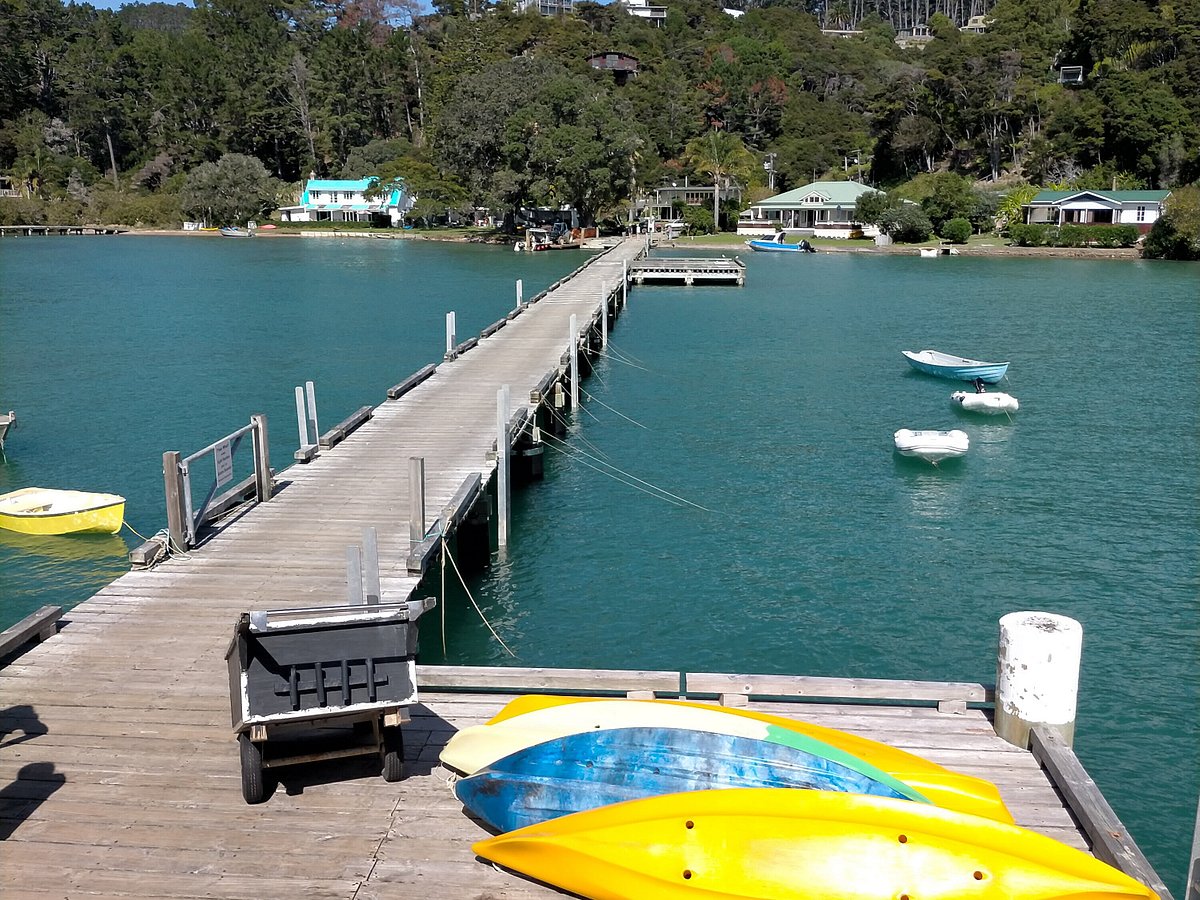 kawau cruises grab one