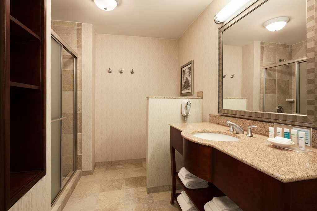 Hotel photo 13 of Hampton Inn & Suites Washington-Dulles International Airport.