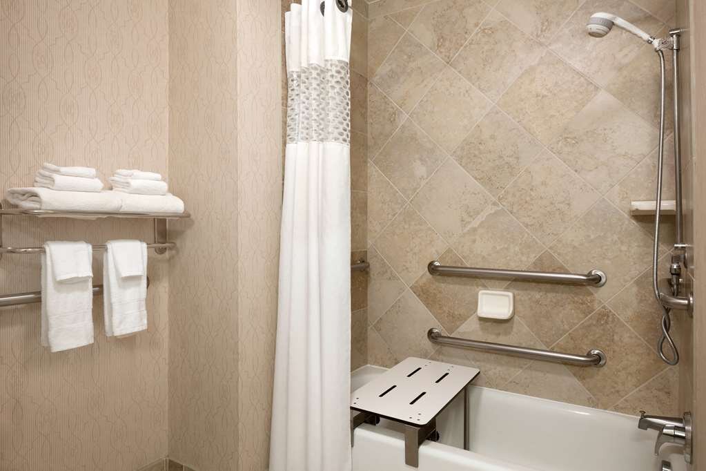 Hotel photo 33 of Hampton Inn & Suites Washington-Dulles International Airport.