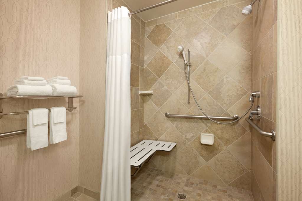Hotel photo 21 of Hampton Inn & Suites Washington-Dulles International Airport.