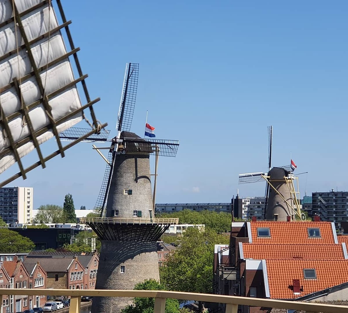 Schiedam Windmills: лучшие советы перед посещением - Tripadvisor