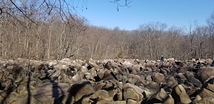 are dogs allowed at ringing rocks park