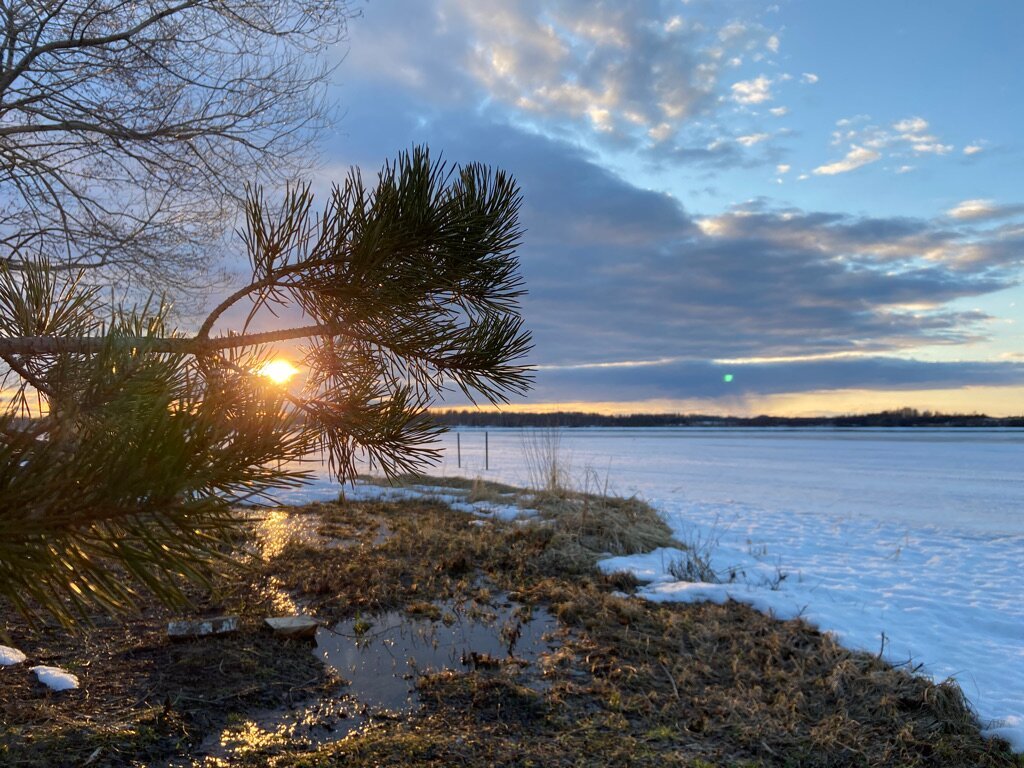 ЭКО-ОТЕЛЬ НОВО-ОКАТОВО (Калязинский район) - отзывы и фото - Tripadvisor